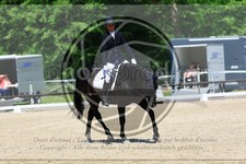 ref. photo 3598014