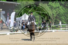 ref. photo 3598028