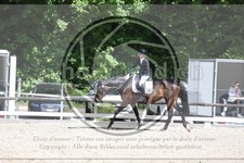 ref. photo 3598097