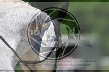 ref. photo 3598130