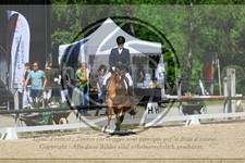 ref. photo 3598252