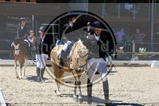 ref. photo 3598312