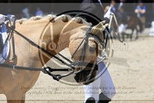 ref. photo 3598314