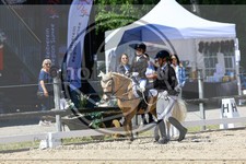 ref. photo 3598327