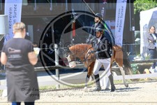 ref. photo 3598331