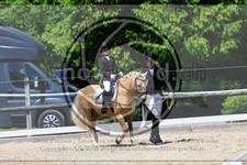 ref. photo 3598355