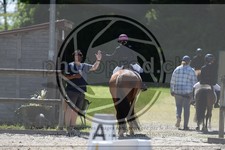 ref. photo 3598533