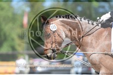 ref. photo 3598549
