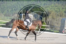ref. photo 4039140
