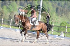 ref. photo 4039934