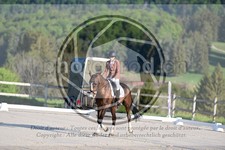 ref. photo 4039937