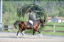 ref. photo 4040035