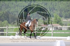 ref. photo 4040295