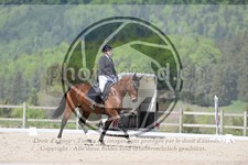 ref. photo 4040454