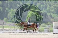 ref. photo 4040602