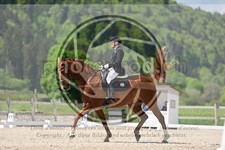 ref. photo 4040608