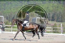 ref. photo 4040882