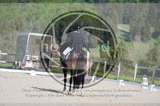 ref. photo 4040918