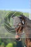 ref. photo 4041864