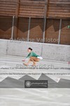 ref. photo 3976220