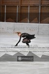 ref. photo 3977286
