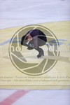 ref. photo 3403407