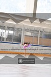 ref. photo 3998422