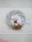 ref. photo 3992386