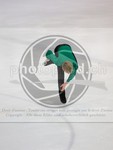 ref. photo 3994591