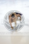 ref. photo 3546154