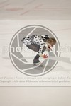 ref. photo 3479512
