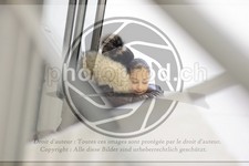 ref. photo 3481491