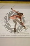 ref. photo 3484248