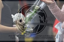 ref. photo 3532752