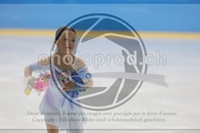 ref. photo 3533125
