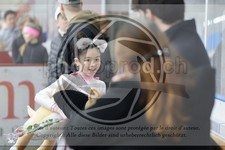 ref. photo 3533447