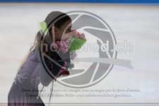 ref. photo 3535096