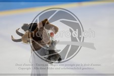 ref. photo 3535693