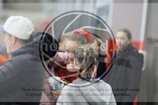 ref. photo 3538023