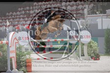ref. photo 3402135