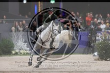 ref. photo 3402240
