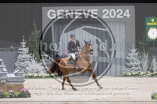 ref. photo 3402261