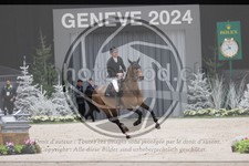 ref. photo 3402322