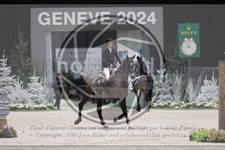ref. photo 3402408