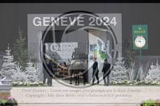 ref. photo 3402432