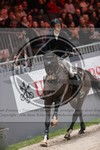 ref. photo 3402436
