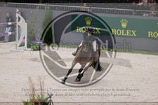 ref. photo 3402464