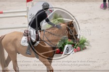 ref. photo 3402469