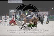 ref. photo 3402505