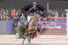 ref. photo 3402706